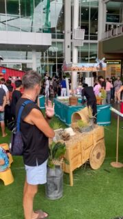 Tier Schönheitswettbewerb 😅 #thailand #huahin #reisen #weltreise #auswandern #reisevlog #reisenmachtgl #reiseblogger #urlaub #reisetipps #geheimtipp #fernweh #reiselust #reiseziele #abenteuer