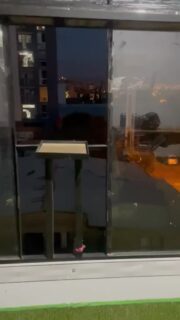 Unnormal diese Hunde 🤣 #bolivien #reisen #weltreise #auswandern #südamerika #reisevlog #reisenmachtgl #reiseblogger #urlaub #reisetipps #geheimtipp #fernweh #reiselust #reiseziele #abenteuer