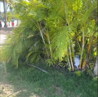 Ganz nett hier #domrep #dominikanischerepublik #reisen #weltreise #auswandern #südamerika #reisevlog #reisenmachtgl #reiseblogger #urlaub #reisetipps #geheimtipp #fernweh #reiselust #reiseziele #abenteuer