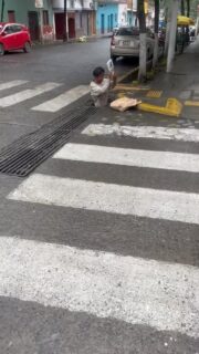 Was geht bei dem ab! 🤨 #peru #reisen #weltreise #auswandern #südamerika #reisevlog #reisenmachtgl #reiseblogger #urlaub #reisetipps #geheimtipp #fernweh #reiselust #reiseziele #abenteuer