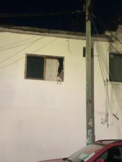 Mexikanischer Wachhund 😂 #mexiko #reisen #weltreise #auswandern #südamerika #reisevlog #reisenmachtgl #reiseblogger #urlaub #reisetipps #geheimtipp #fernweh #reiselust #reiseziele #abenteuer