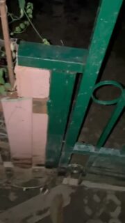 Was für fette Viecher 😯😱 #thailand #reisen #weltreise #auswandern #reisevlog #reisenmachtgl #reiseblogger #urlaub #reisetipps #geheimtipp #fernweh #reiselust #reiseziele #abenteuer