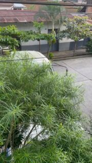 Wenn die Müllabfuhr in Peru Werbung macht 🤣  #peru #reisen #weltreise #auswandern #südamerika #reisevlog #reisenmachtgl #reiseblogger #urlaub #reisetipps #geheimtipp #fernweh #reiselust #reiseziele #abenteuer