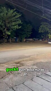 Hier sollte man aufpassen! 😱 #myanmar #reisen #weltreise #auswandern #reisevlog #reisenmachtgl #reiseblogger #urlaub #reisetipps #geheimtipp #fernweh #reiselust #reiseziele #abenteuer