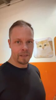 Im Katzenkaffee 🥰