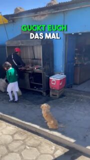 😍 Sau geiler Grill in Bolivien 🤤 #leckeressen #bolivien #reisen #weltreise #auswandern #südamerika #reisevlog #reisenmachtgl #reiseblogger #urlaub #reisetipps #geheimtipp #fernweh #reiselust #reiseziele #abenteuer