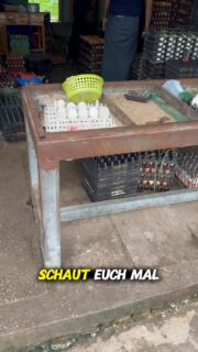 Was für Eier sind das? 🤔 #myanmar #reisen #weltreise #auswandern #reisevlog #reisenmachtgl #reiseblogger #urlaub #reisetipps #geheimtipp #fernweh #reiselust #reiseziele #abenteuer