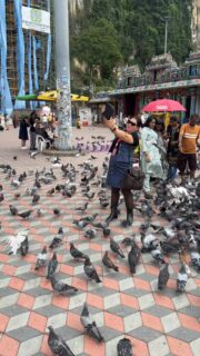 Das ist etwas ausgeartet 😅