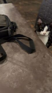 Sie will auch was 🤗