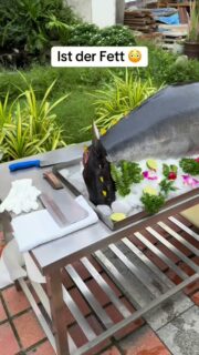 Das ist mal ein Gerät 😳