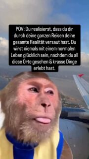 Ehrlich gesagt: Das hat mir damals keiner gesagt... 🌍✨
Dass dieses Leben süchtig macht. Dass man irgendwann den Draht zum „normalen“ 9-to-5-Alltag verliert, weil die Welt da draußen plötzlich viel zu groß erscheint, um sie nur im Urlaub zu sehen. 🤷🏽‍♂️
Aber ganz ehrlich? Ich bin froh drum. Für mich muss die Reise als digitaler Nomade niemals enden. 🌴☀️
Vielleicht liegt der Ort, an dem ich mich irgendwann mal wirklich niederlasse, nicht dort, wo ich herkomme, sondern ganz woanders. An einem Spot, den ich heute noch gar nicht auf der Karte habe. ♥️
Ich genieße es einfach, dass mein Business ortsunabhängig ist. Überall leben, arbeiten und mein eigenes Ding machen – das ist für mich die wahre Freiheit. 🫶🏻🫂
Wohin die Reise als nächstes geht? Das entscheide ich spontan. ✨🌏
Wie sieht’s bei euch aus: Könntet ihr euch vorstellen, alles hinter euch zu lassen?
#digitalernomade #ortsunabhängig #weltreise #auswandern #freiheit #remotework #neuerlebensstil #reiselust #auswandern