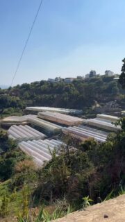 Da Lat hat mich echt überrascht 🌄✨
Frische Luft, grüne Hügel und diese Aussicht… einfach unreal. Einer dieser Orte, an denen man kurz alles vergisst und nur den Moment genießt.
#dalat #vietnamtravel #naturelovers #mountainview #travelgram