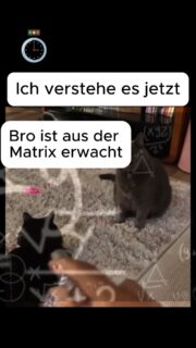 Jeder muss alleine aufwachen...