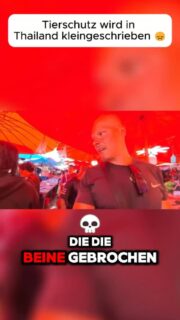 Tierschutz wird in Thailand kleingeschrieben 😞