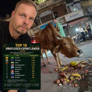 Viele Menschen verbinden Indien sofort mit heiligen Kühen. 🇮🇳🐄
Umso überraschender ist diese Statistik: Indien gehört zu den weltweit größten Exporteuren von Rindfleisch und liegt laut der Grafik sogar auf Platz 3.
Der entscheidende Punkt, den viele dabei übersehen: Ein großer Teil dieser Exporte besteht nicht aus Fleisch von Kühen, sondern aus Büffelfleisch. In internationalen Handelsstatistiken wird dieses jedoch häufig ebenfalls als Rindfleisch eingeordnet.
Indien zeigt eben immer wieder, wie unterschiedlich Religion, Alltag, Wirtschaft und Realität nebeneinander existieren können. Genau solche Gegensätze machen das Land so faszinierend.
Was hat euch in Indien bisher am meisten überrascht? 👇
Mehr Reiseabenteuer und ungewöhnliche Fakten aus Indien folgen.
#Indien #Reisen #IndienReise #Wissenswert #Reisefakten #Abenteuer #TravelIndia