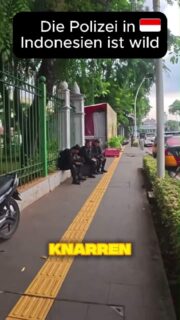 😳 PLÖTZLICH PANZERWAGEN UND MASCHINENPISTOLEN 🇮🇩
Ich war ganz normal auf der Straße in Indonesien unterwegs, als ich plötzlich schwer bewaffnete Sicherheitskräfte, Panzerwagen und jede Menge Polizei gesehen habe.
Der Grund: In der Nähe fand ein großes Fest statt, das wegen möglicher Anschlagsgefahr extrem stark bewacht wurde. 🚨
So eine Sicherheitspräsenz sieht man definitiv nicht jeden Tag.
Würdet ihr euch bei so einem Anblick sicherer fühlen oder eher nervös werden? 👀👇
#Indonesien #Polizei #Reisen #Sicherheit #Reiseabenteuer