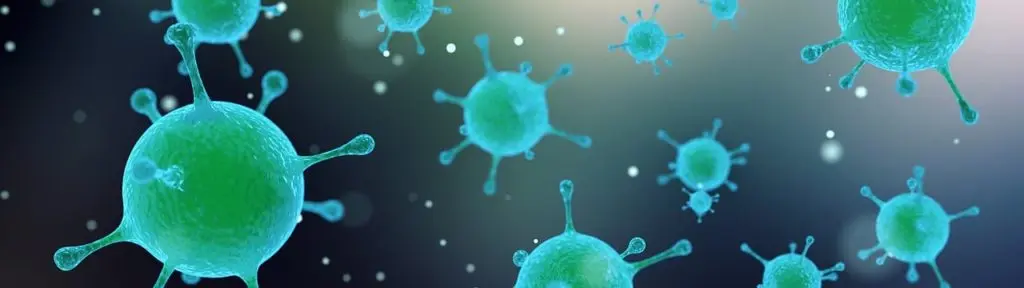 Auslandskrankheiten: Meine Infektion mit dem hartnäckigem Staphylococcus Aureus Bakterium